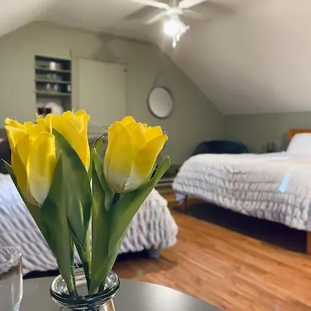 Quay Lane Ballina (Mayo)