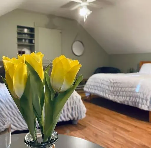 Quay Lane Ballina (Mayo)